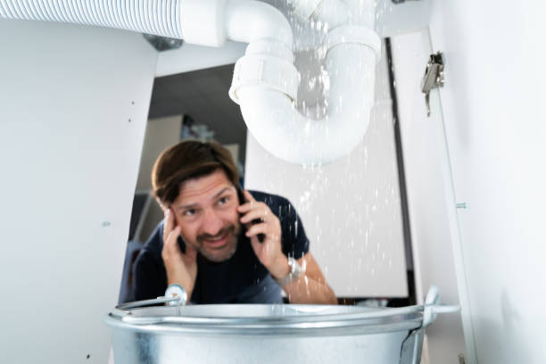 Best Clogged Drain Plumber  in Pevely, MO