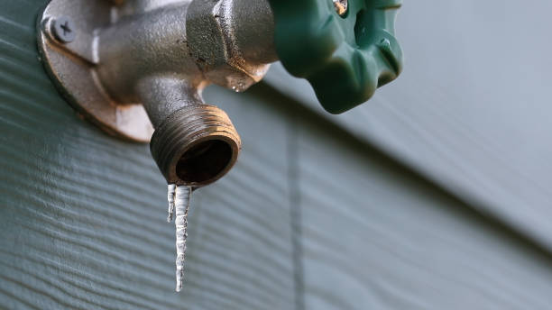 Best Residential Plumbing Services  in Pevely, MO
